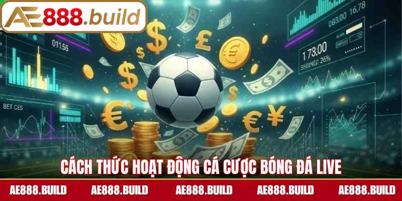 Cách thức hoạt động cá cược bóng đá live