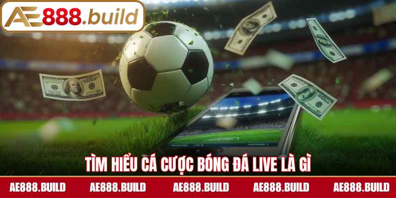 Tìm hiểu cá cược bóng đá live là gì