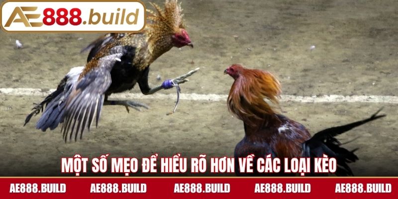 Một số mẹo để anh em có thể hiểu rõ hơn về các loại kèo