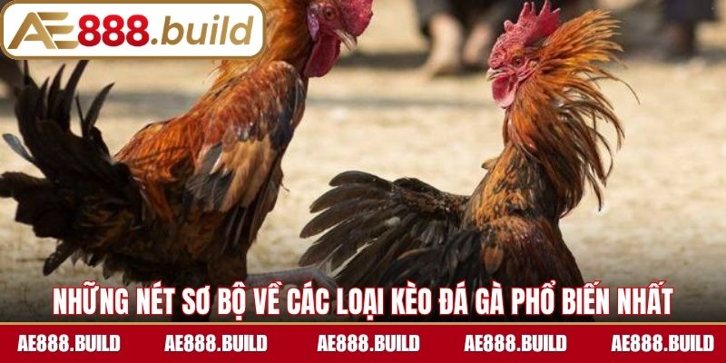 Những nét sơ bộ về các loại kèo đá gà phổ biến nhất