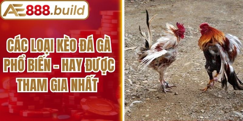 Các Loại Kèo Đá Gà Phổ Biến - Hay Được Tham Gia Nhất