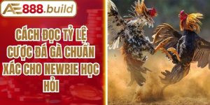 Cách Đọc Tỷ Lệ Cược Đá Gà Chuẩn Xác Cho Newbie Học Hỏi