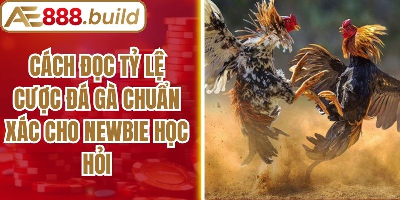Cách Đọc Tỷ Lệ Cược Đá Gà Chuẩn Xác Cho Newbie Học Hỏi
