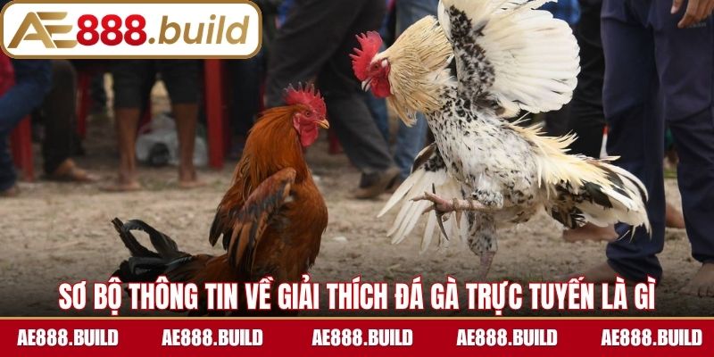 Sơ bộ thông tin cơ bản về giải thích đá gà trực tuyến là gì