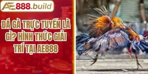 Đá Gà Trực Tuyến Là Gì? Hình Thức Giải Trí Tại AE888