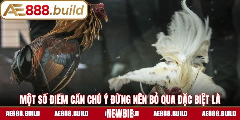 Một số điểm cần chú ý đừng nên bỏ qua đặc biệt là newbie