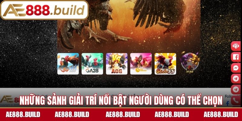 Những sảnh giải trí nổi bật người dùng có thể chọn