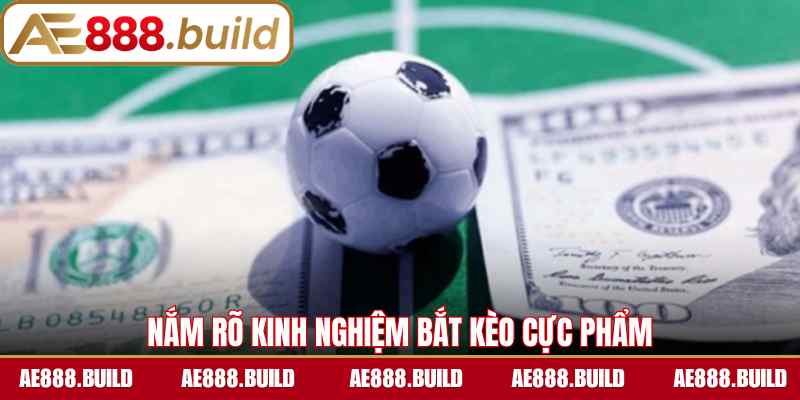 Nắm rõ kinh nghiệm bắt kèo cực phẩm