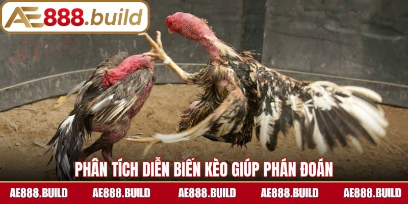 Dựa theo phân tích diễn biến kèo bạn có thể phán đoán