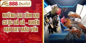 Những Sai Lầm Khi Cược Đá Gà - Khiến Bạn Bay Màu Vốn