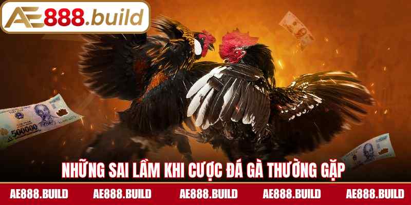 Những sai lầm khi cược đá gà thường gặp 