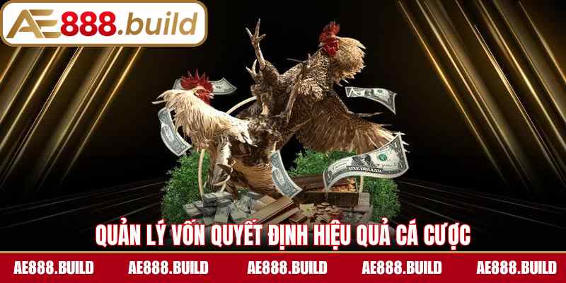 Quản lý vốn quyết định hiệu quả cá cược