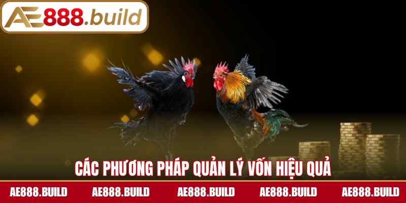 Các phương pháp quản lý vốn hiệu quả