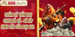 Quản Lý Vốn Khi Chơi Đá Gà -Bí Kíp Sinh Lời Của Đại Gia