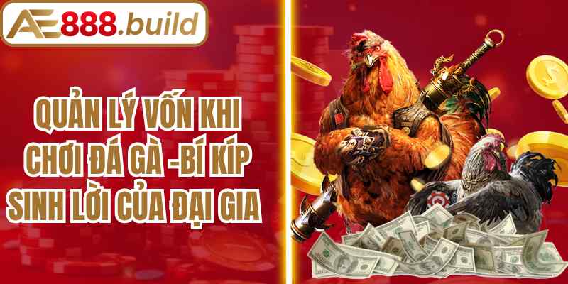 Quản Lý Vốn Khi Chơi Đá Gà -Bí Kíp Sinh Lời Của Đại Gia