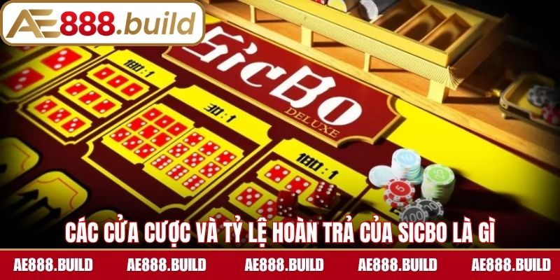 Các cửa cược và tỷ lệ hoàn trả của sicbo là gì